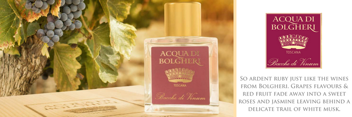 ACQUA DI BOLGHERI Bacche di Vinum Eau de Parfum 50 ml