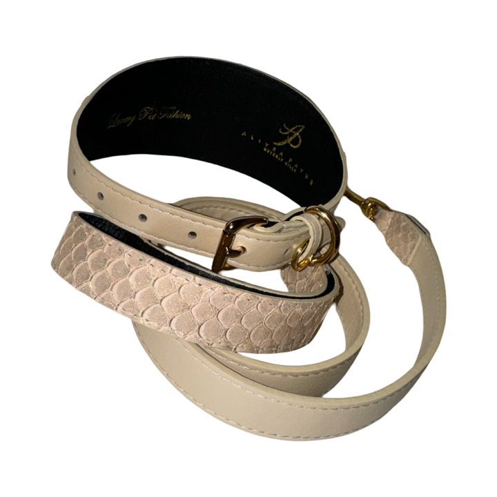 Hollywood Glam Collar &amp; Leash Set
