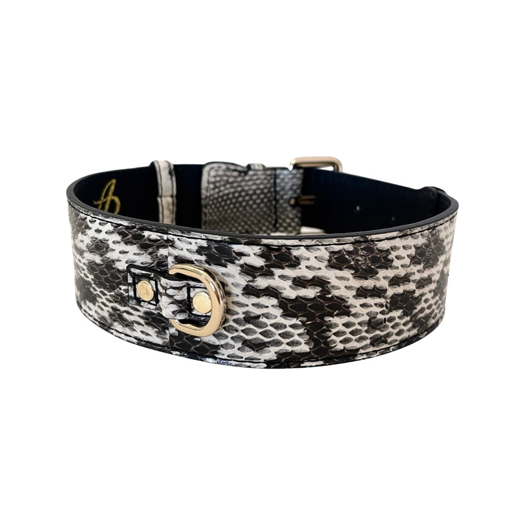 White &amp; Black Classic Snake Collar