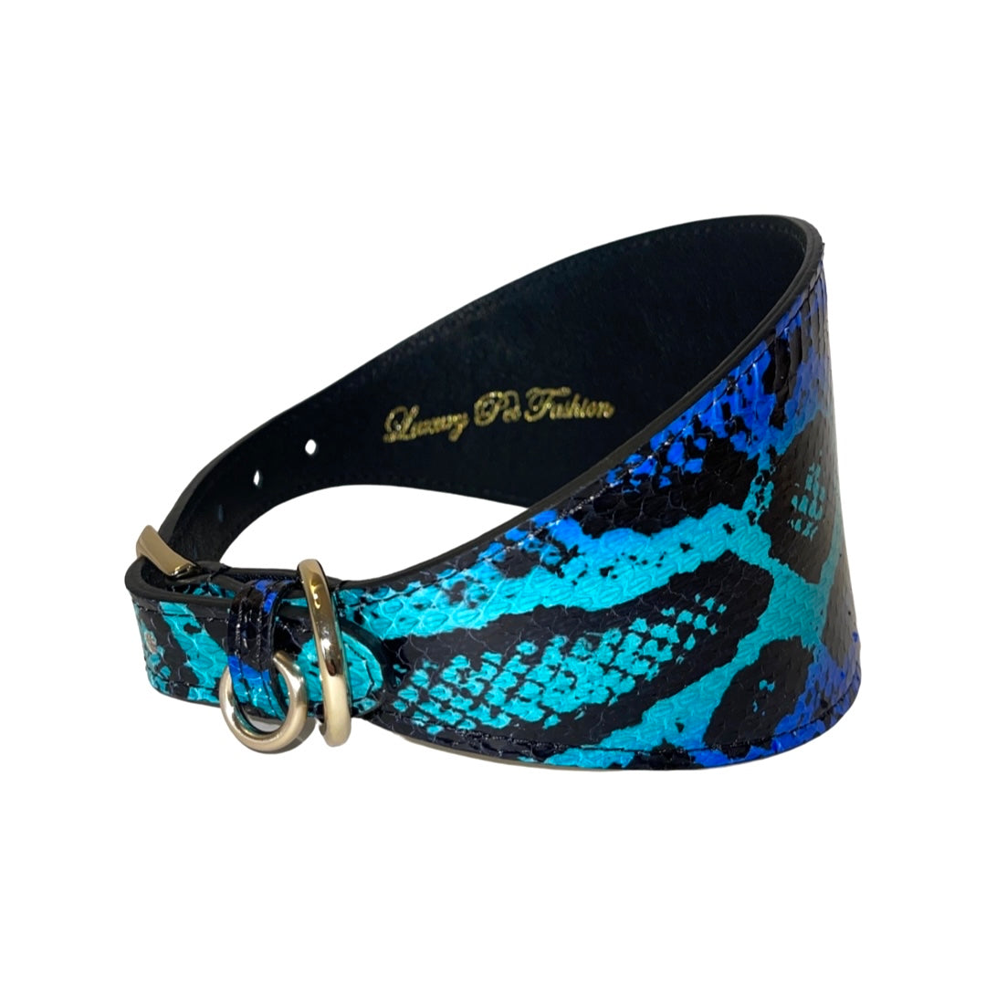 Electric/Turquoise Blue &amp; Black Custom Snake 4” Wide Style Collar