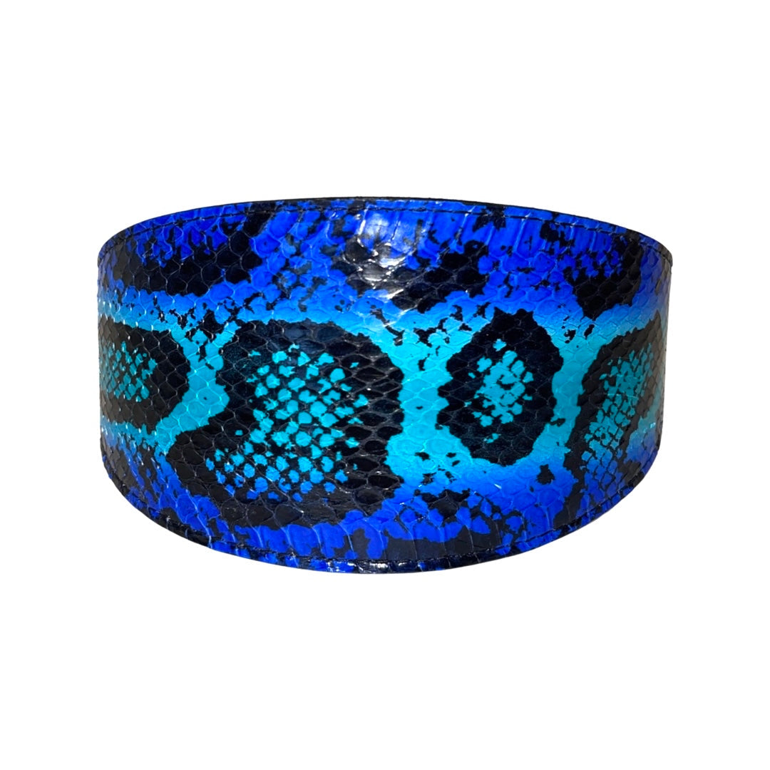 Electric/Turquoise Blue &amp; Black 3” Wide Style Collar