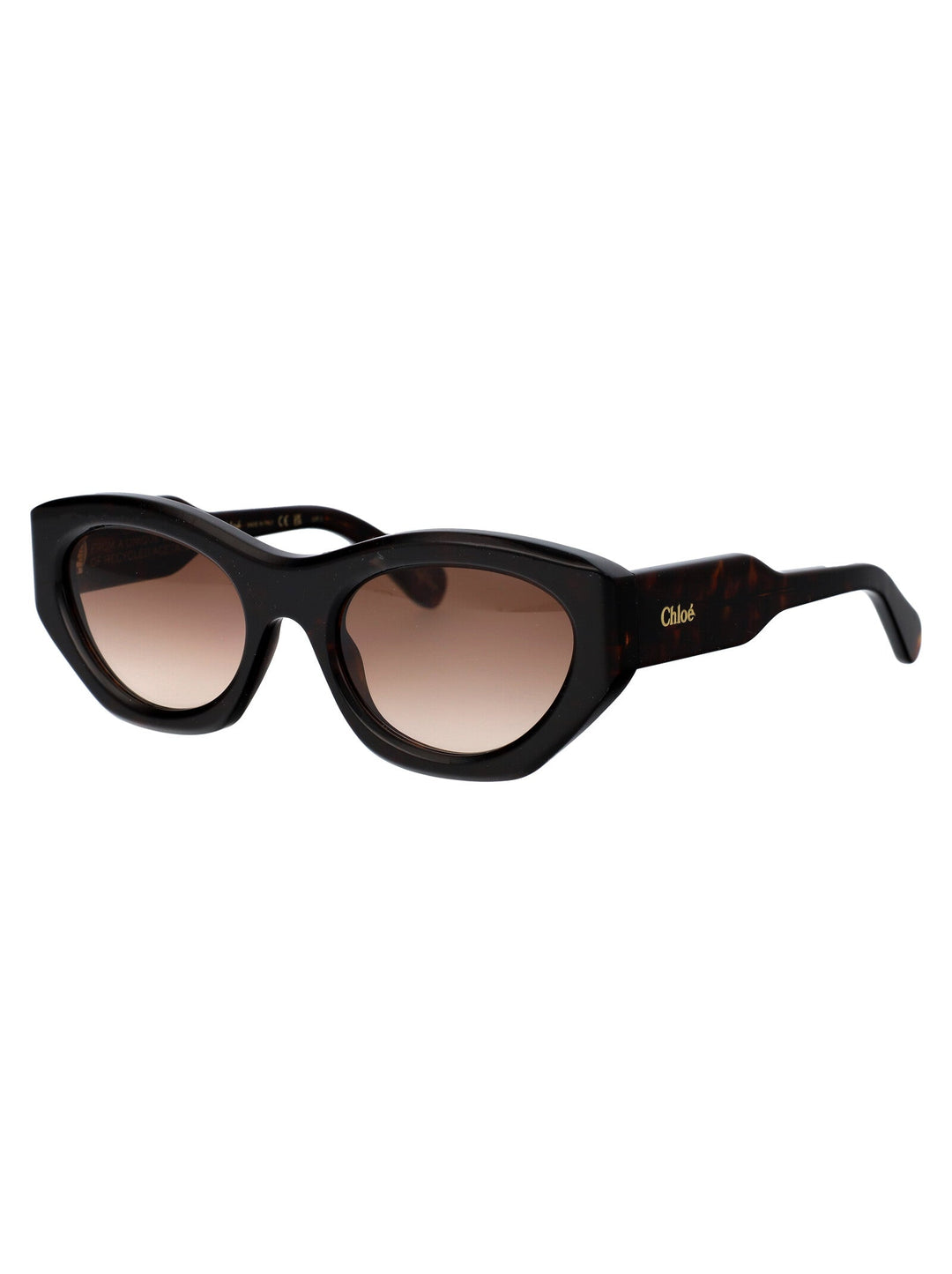 CHLOÉ Chic Acetate Sunglasses for Women - FW25 Collection