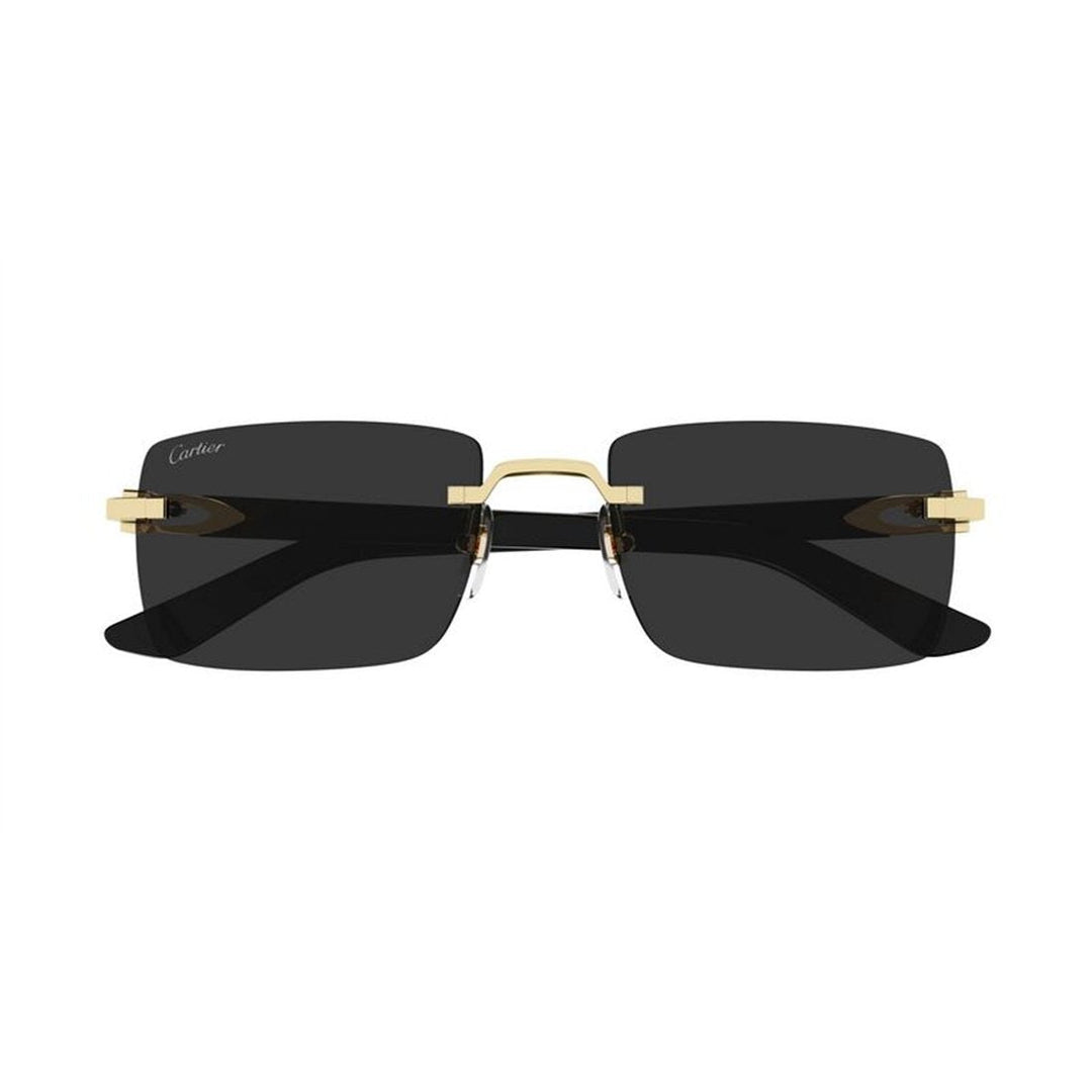CARTIER Sleek Metal Sunglasses for Men - Classic Style