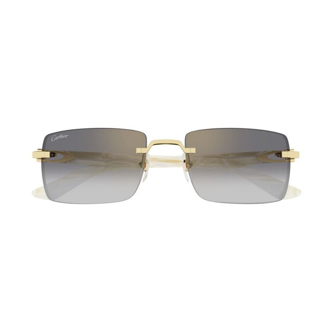 CARTIER CT0579S Mini Designer Sunglasses for Men