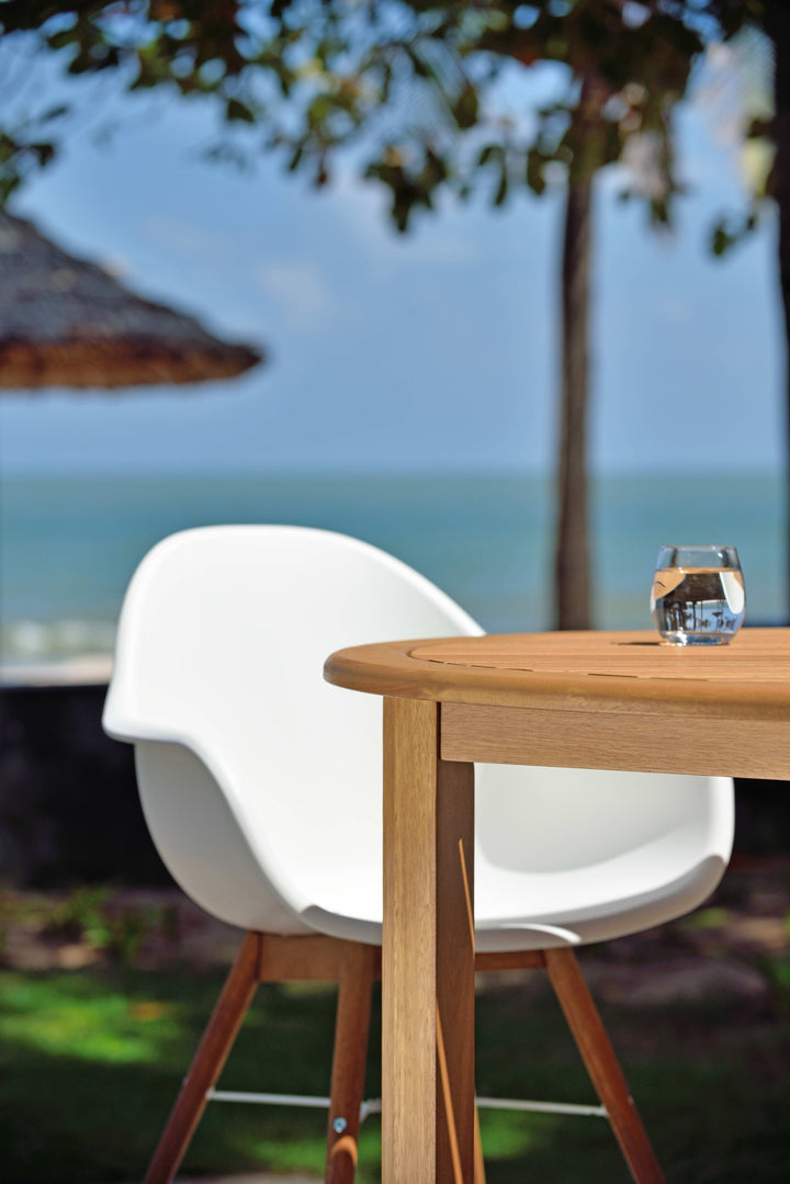 Chamonix Resin and FSC Wood Arm Chairs - 2pc