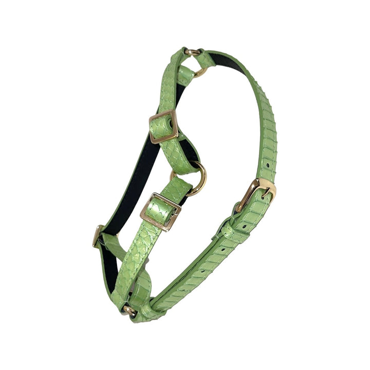 Sea Anemone Pearl Green Snake Harness