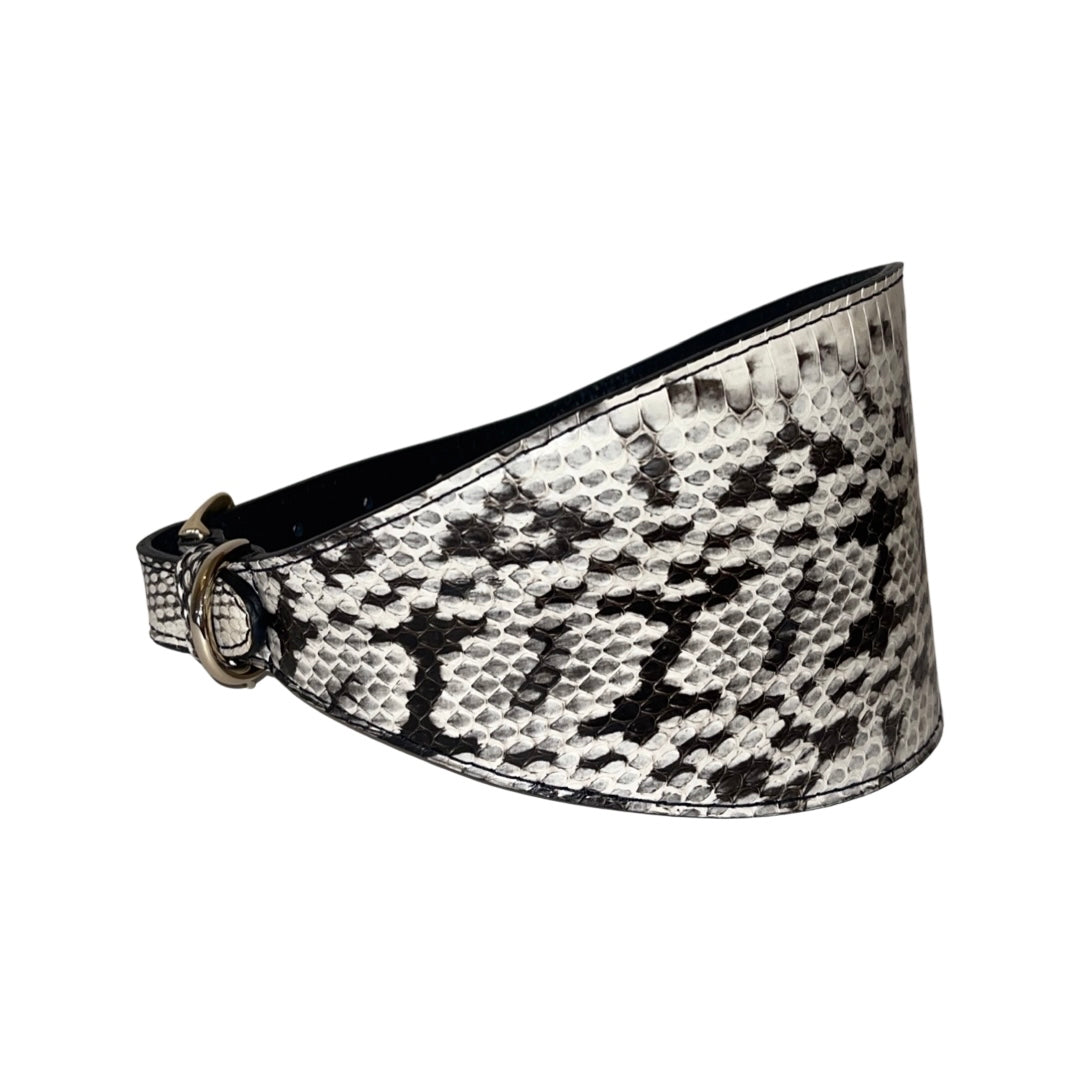 White &amp; Black 4” Wide Snake Collar