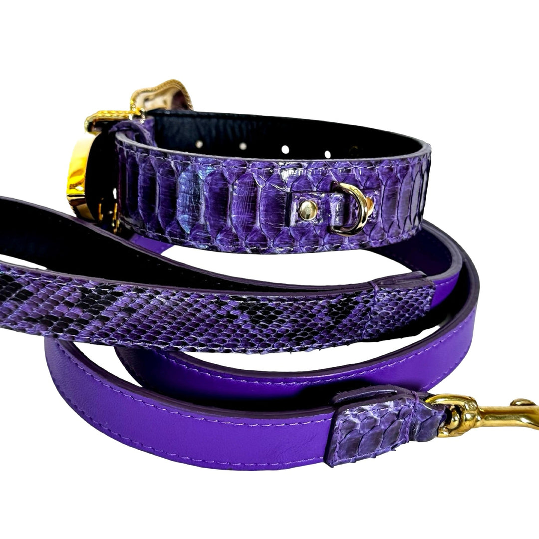 Amethyst Royale Python Set