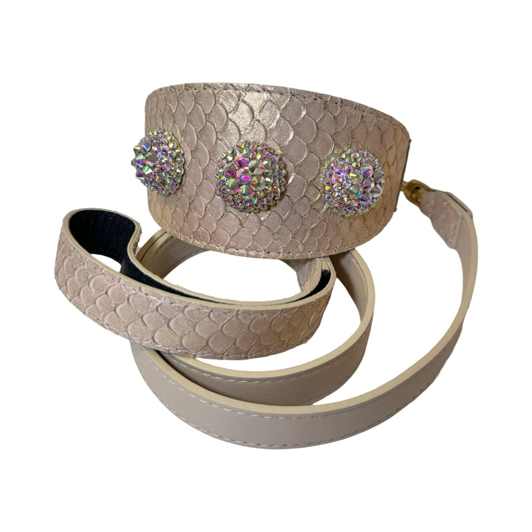 Hollywood Glam Collar &amp; Leash Set
