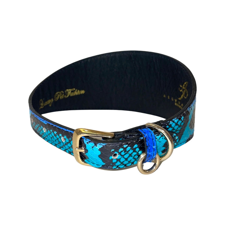 Electric/Turquoise Blue &amp; Black 3” Wide Style Collar