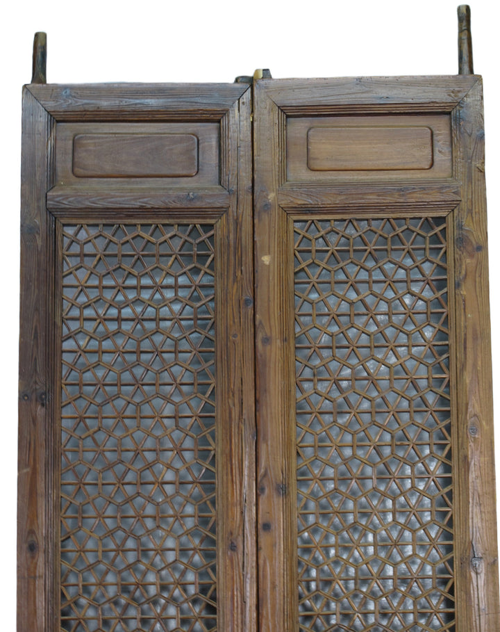 Pair of Hexagonal Screen Door Panel