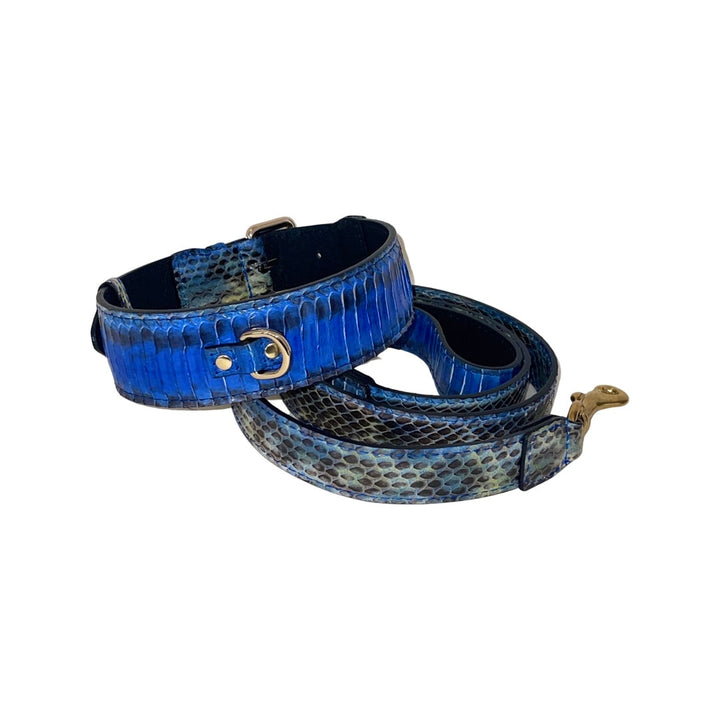 Stunning Multi-Blue Tone Snake Classic Collar &amp; Leash Set