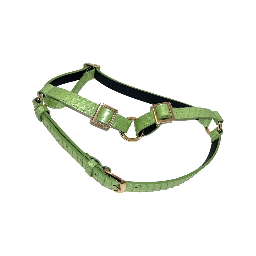 Sea Anemone Pearl Green Snake Harness
