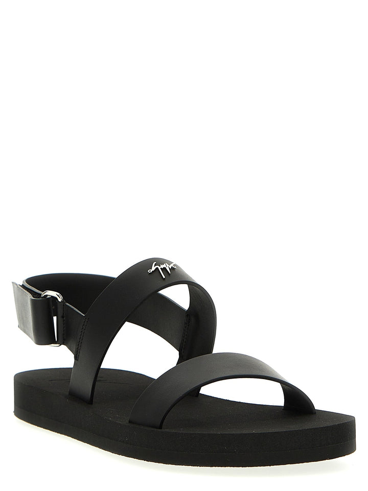 Giuseppe Zanotti &