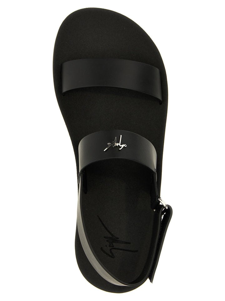 Giuseppe Zanotti &
