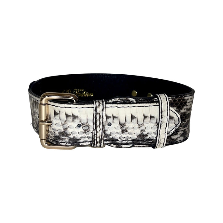 White &amp; Black Classic Snake Collar