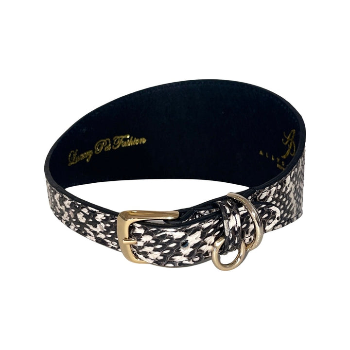 Black &amp; White 3” Wide Style Snake Collar