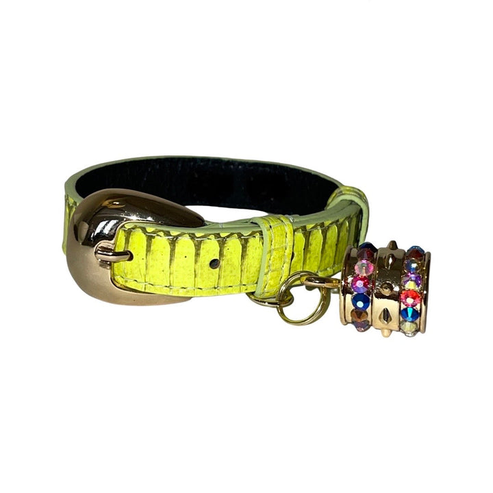 XS/S 7”-14” Light Neon Green Custom Snake Collar/Custom Gold Oval Italian Hardware &amp; Swarovski Crystal Charm