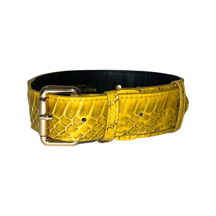 Mustard Yellow &amp; Black Snake Classic Collar