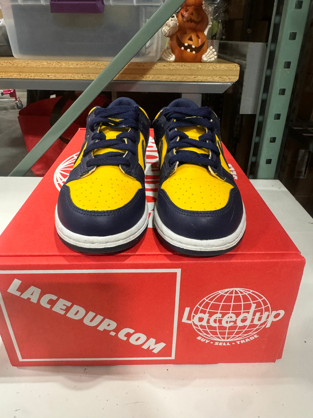PRE OWNED Nike Dunk Low Michigan (2021/2024) (GS)