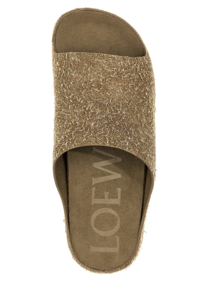 Loewe &