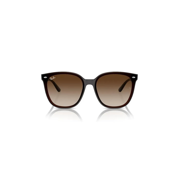 RAY-BAN Stylish Acetate Sunglasses for Men RB4423D