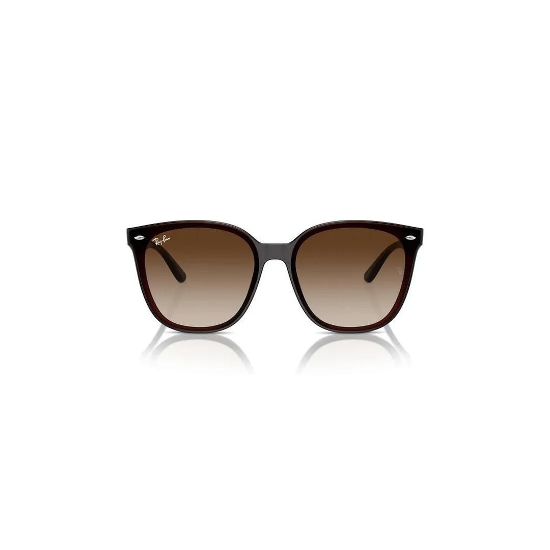 RAY-BAN Stylish Acetate Sunglasses for Men RB4423D