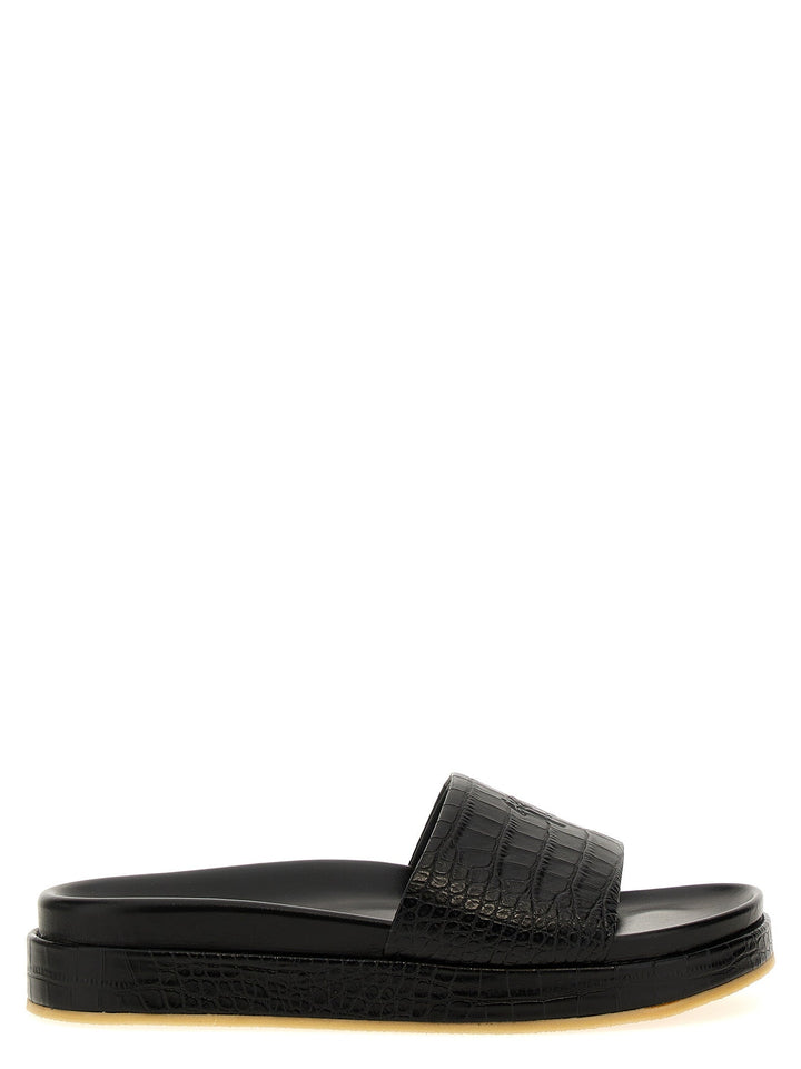 Giuseppe Zanotti &