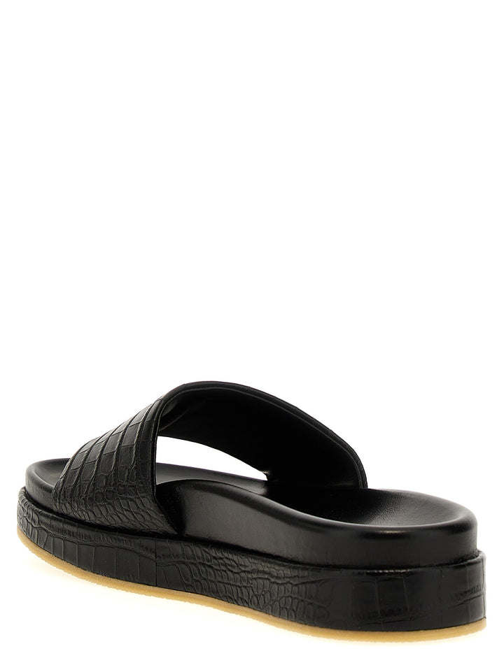 Giuseppe Zanotti &