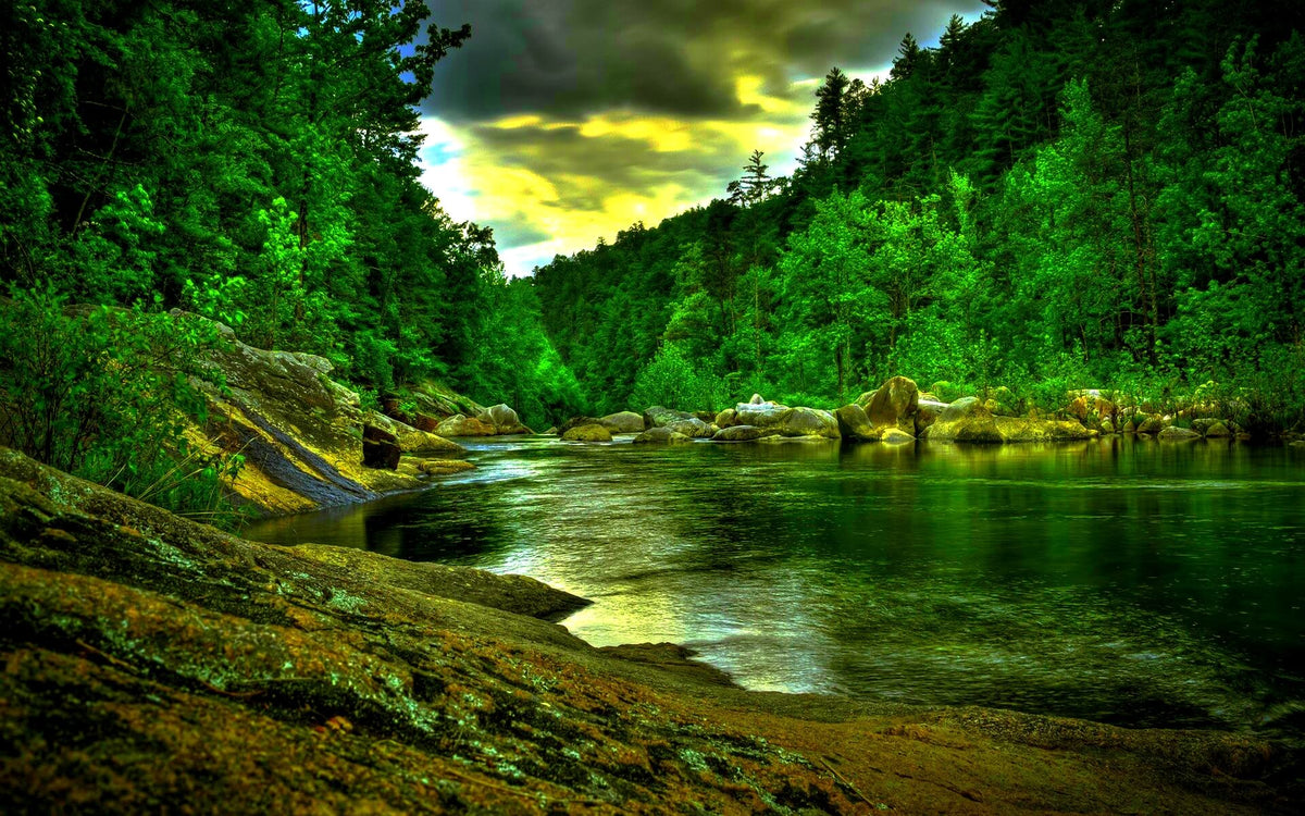 A vibrant green forest river scene with a rocky shoreline in the foreground, reflecting trees and a dramatic cloudy sky.
