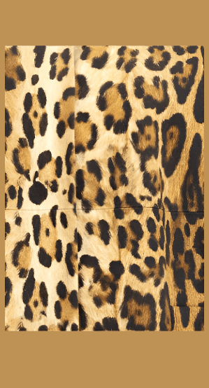 Luxury designer high end authentic fashion with free shipping.