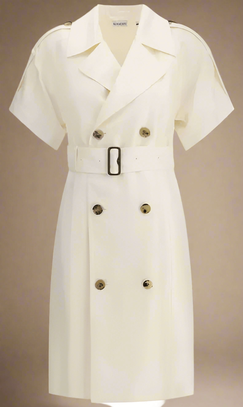 Burberry Belted Trench Dress