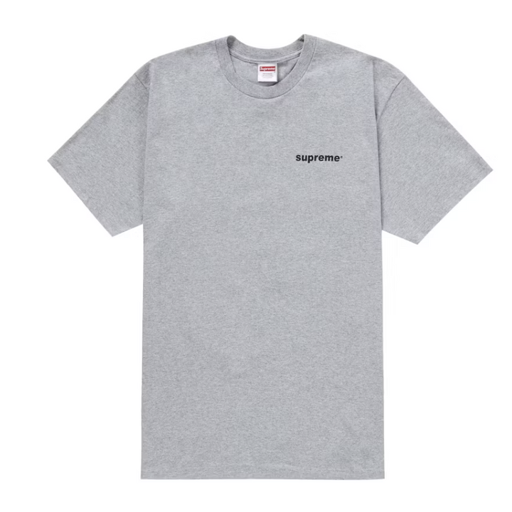 Supreme Fuck Money Tee (Grey)