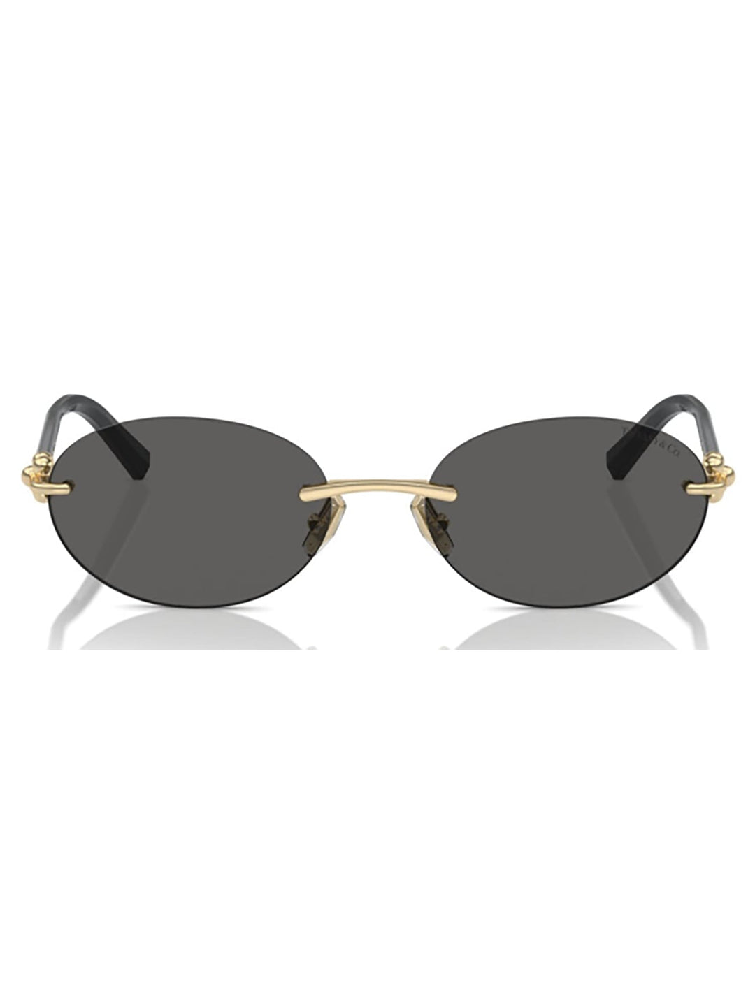 TIFFANY &amp; CO. Sleek Metallic Sunglasses with 140mm Temples