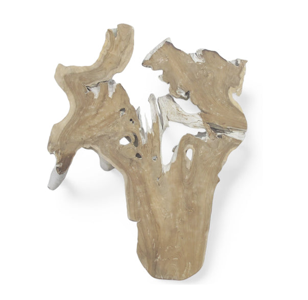 Model of a human pelvis on a white background