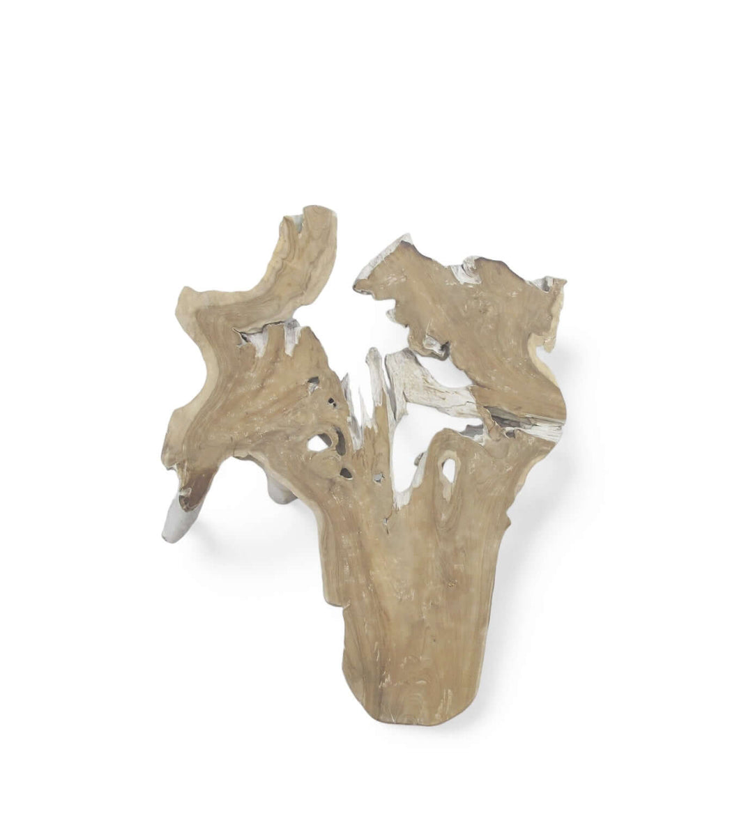 Wooden earrings with a natural finish on a white background