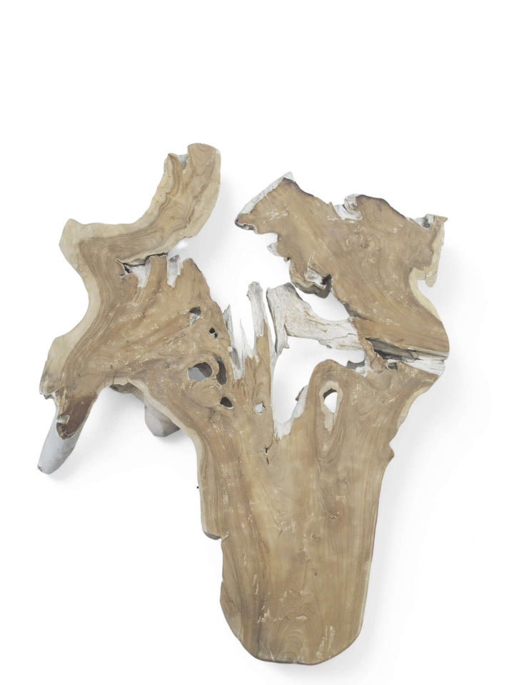 Driftwood pieces on a white background