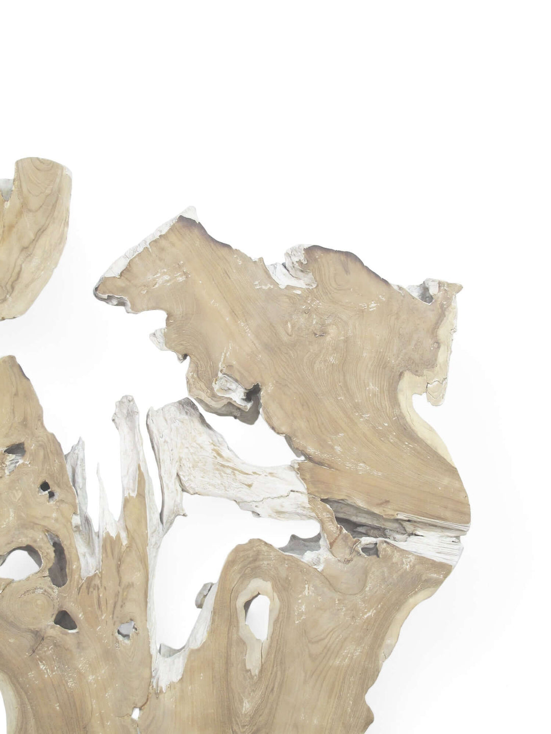 Driftwood pieces on a white background