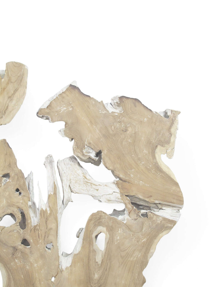 Driftwood pieces on a white background