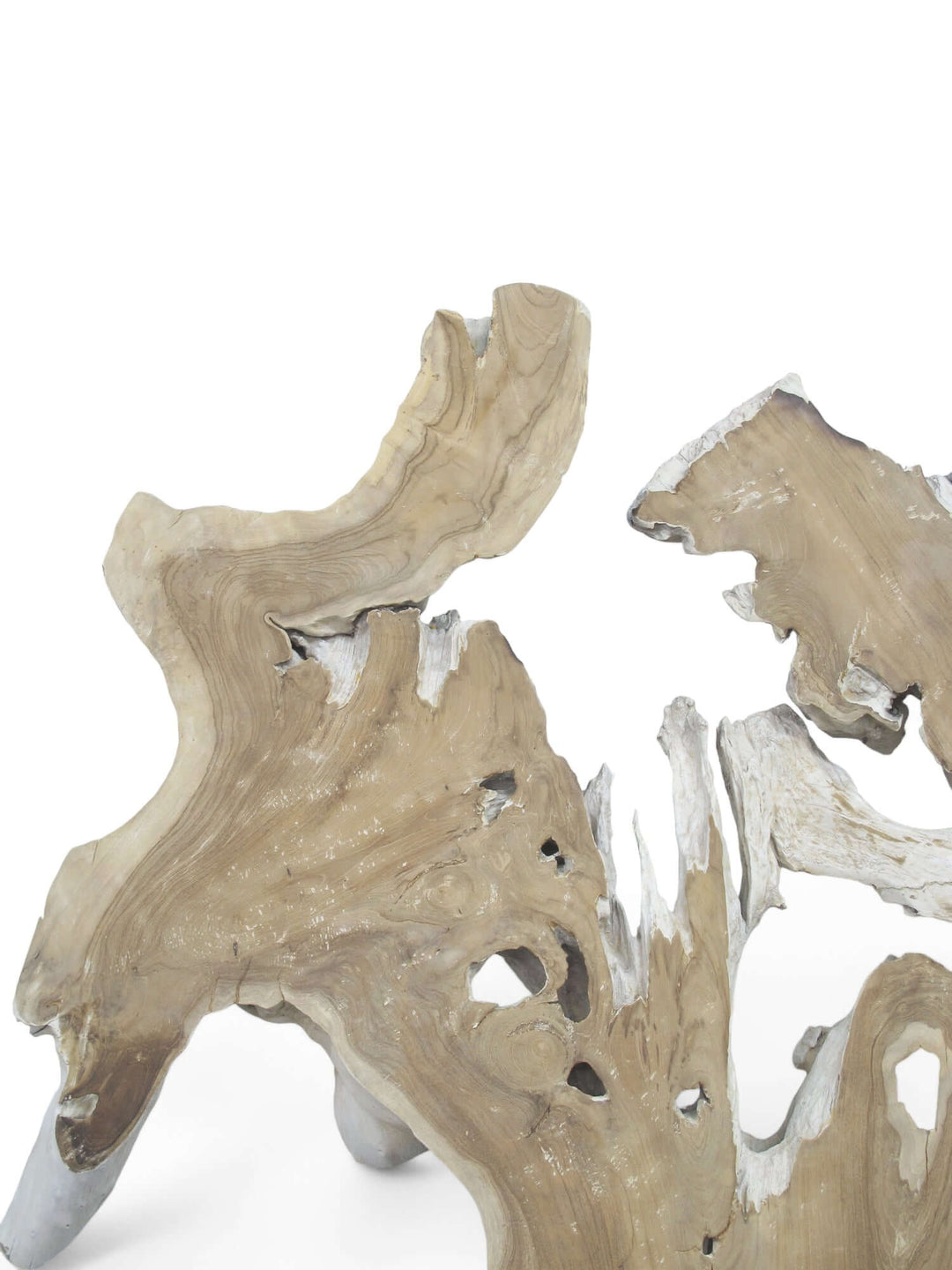 Driftwood with crystal-like structures on a white background