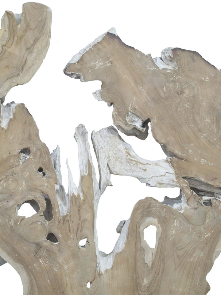 Driftwood pieces on a white background