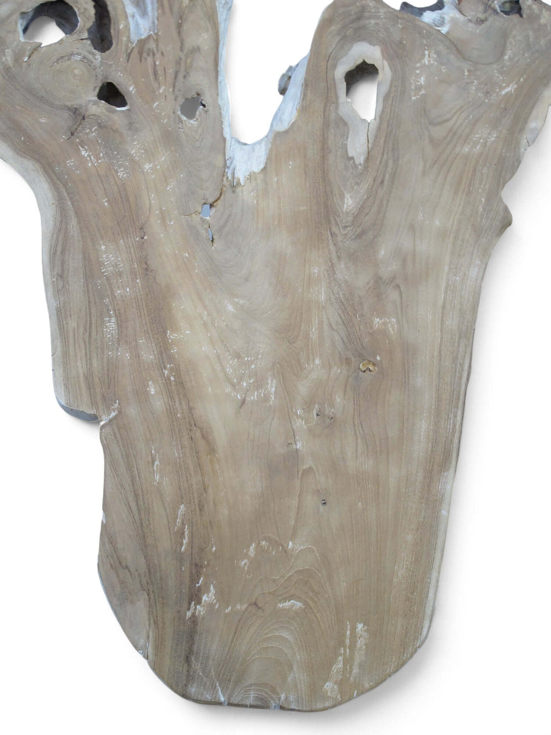 Driftwood piece with natural texture on a white background
