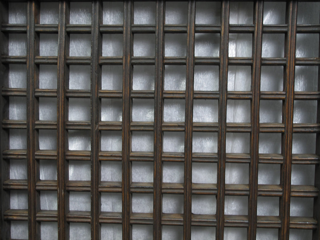 Pair of Vintage Chinese Latticed Screen Panel 5