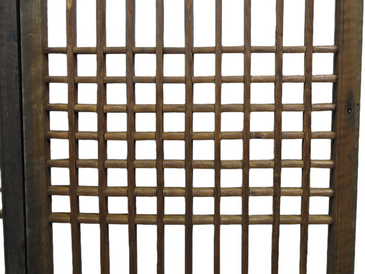 Pair of Vintage Chinese Latticed Screen Panel 6