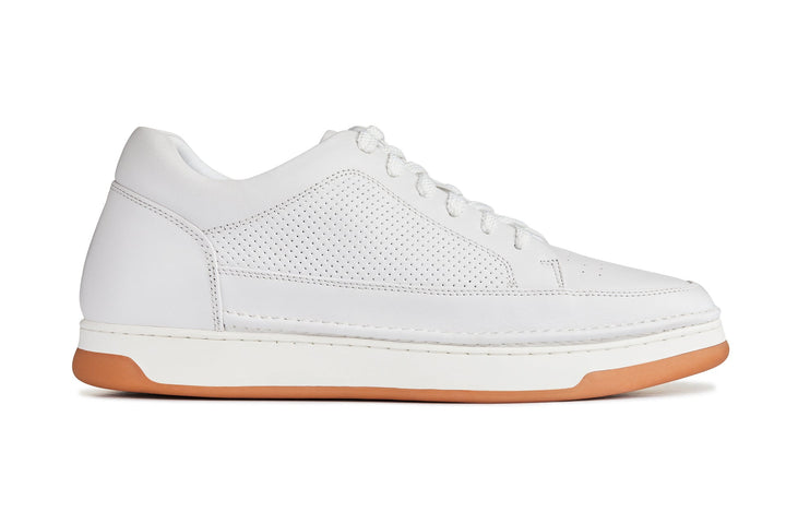 CALTO - Y7932 - 2.6 Inches Taller (White/Off-White &amp; Gum Sole) - Elevated Micro-Perforated Leather Sneakers