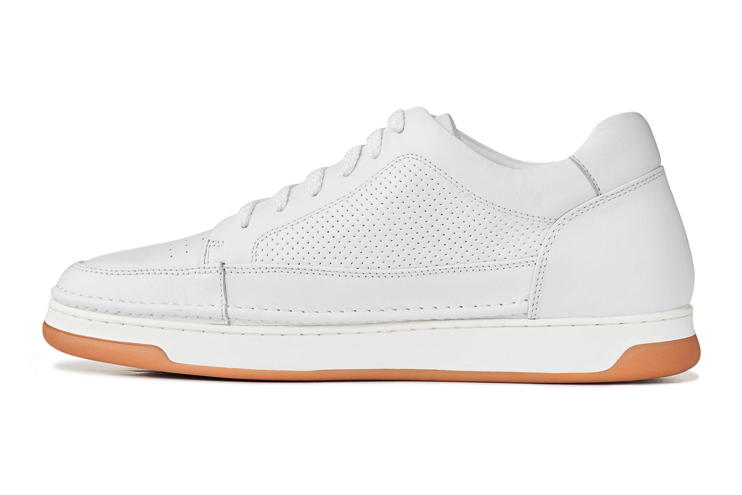 CALTO - Y7932 - 2.6 Inches Taller (White/Off-White &amp; Gum Sole) - Elevated Micro-Perforated Leather Sneakers
