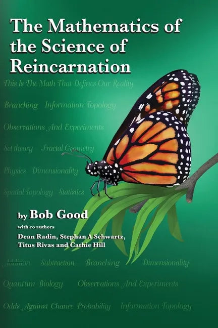 The Mathematics of the Science of Reincarnation: The Matrix of Consciousness - Paperback