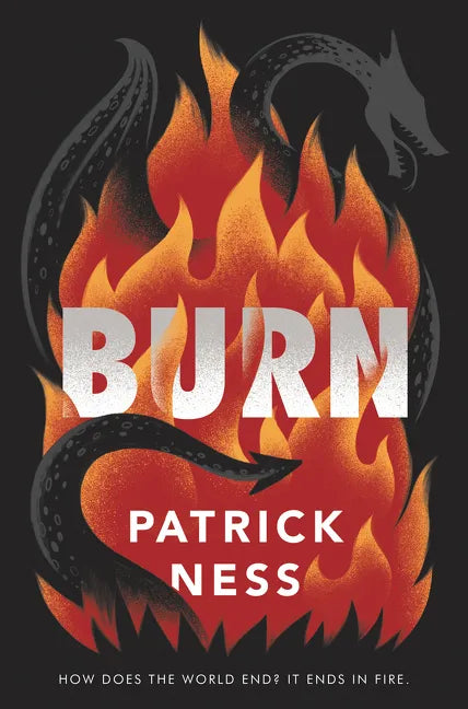 Burn - Paperback