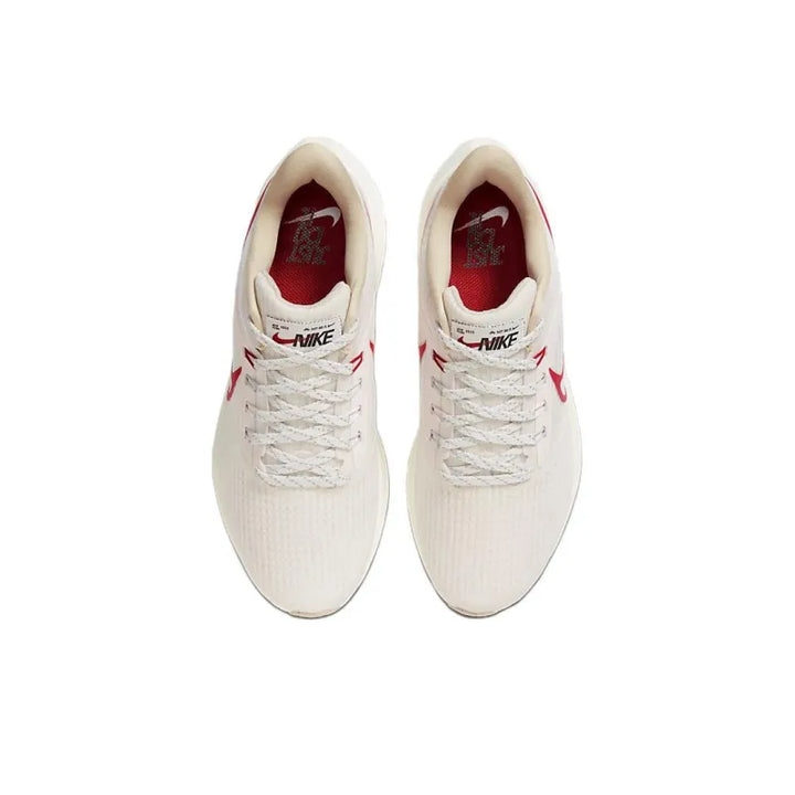 Nike Air Zoom Pegasus 39 &