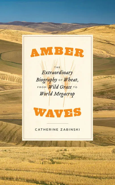 Amber Waves: The Extraordinary Biography of Wheat, from Wild Grass to World Megacrop - Paperback